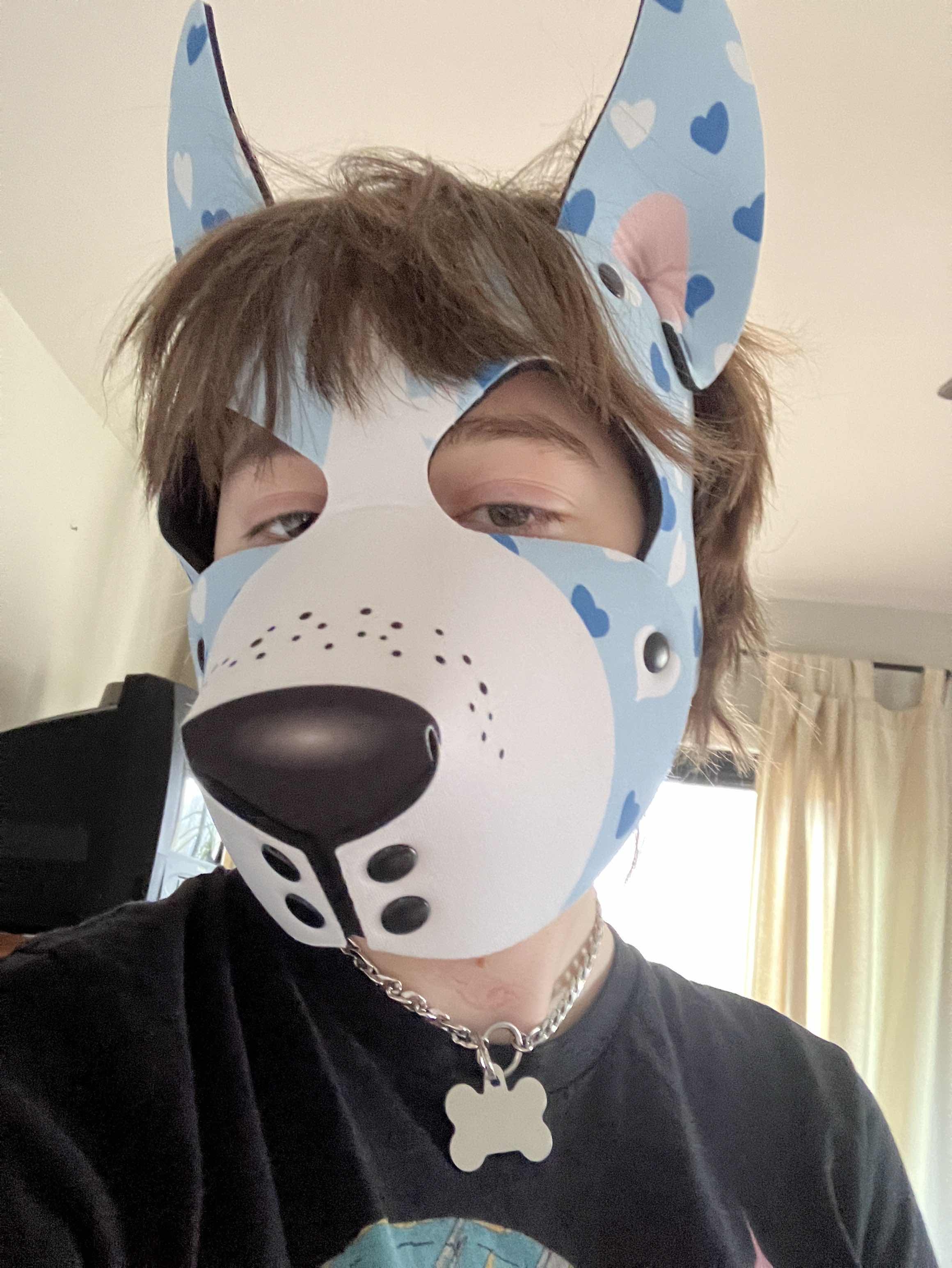 image of myself in my puphood